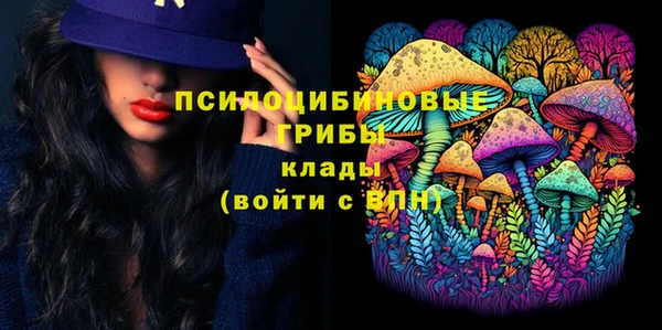 мяу мяу мука Абаза